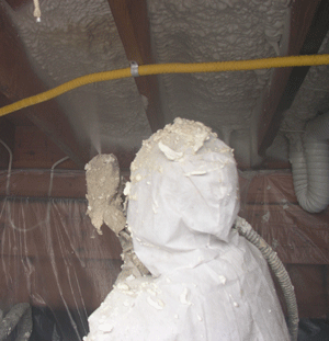 Torrance CA crawl space insulation